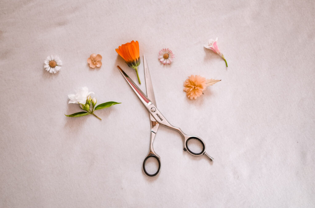 nożyczki fryzjerskie wsród kwiatów na białym tle